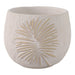 6-pampas-on-rounded-planter-ivory-1
