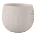 6-pampas-on-rounded-planter-ivory-3