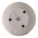 6-pampas-on-rounded-planter-ivory-7