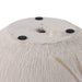 6-pampas-on-rounded-planter-ivory-8