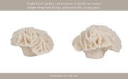 6-petal-coral-ivory-11