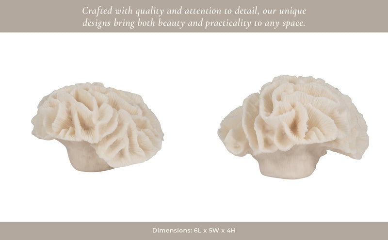 6-petal-coral-ivory-11
