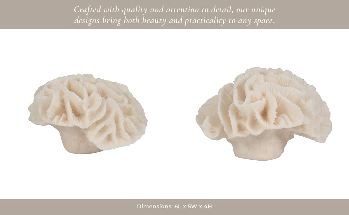 6-petal-coral-ivory-11