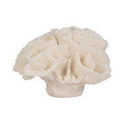 6-petal-coral-ivory-3