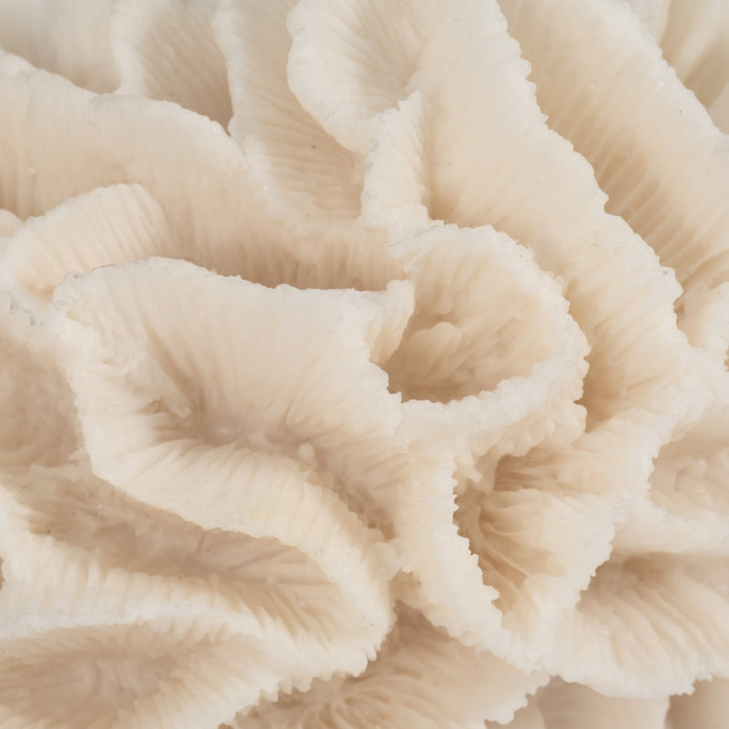 6-petal-coral-ivory-4