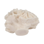 6-petal-coral-ivory-6