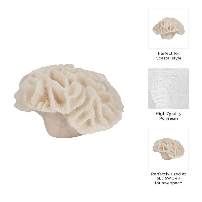 6-petal-coral-ivory-8
