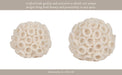 6-round-coral-orb-ivory-3