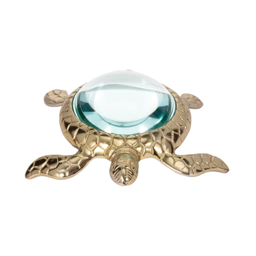 6-sea-turtle-magnifying-glass-gold-1