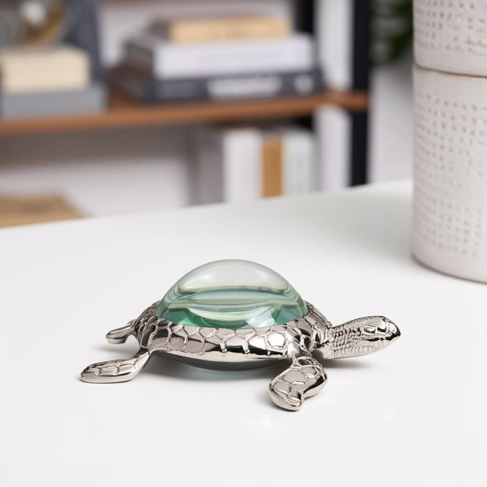 6-sea-turtle-magnifying-glass-silver-11