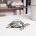6-sea-turtle-magnifying-glass-silver-11