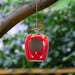 6-strawberry-bird-house-feeder-red-green-10