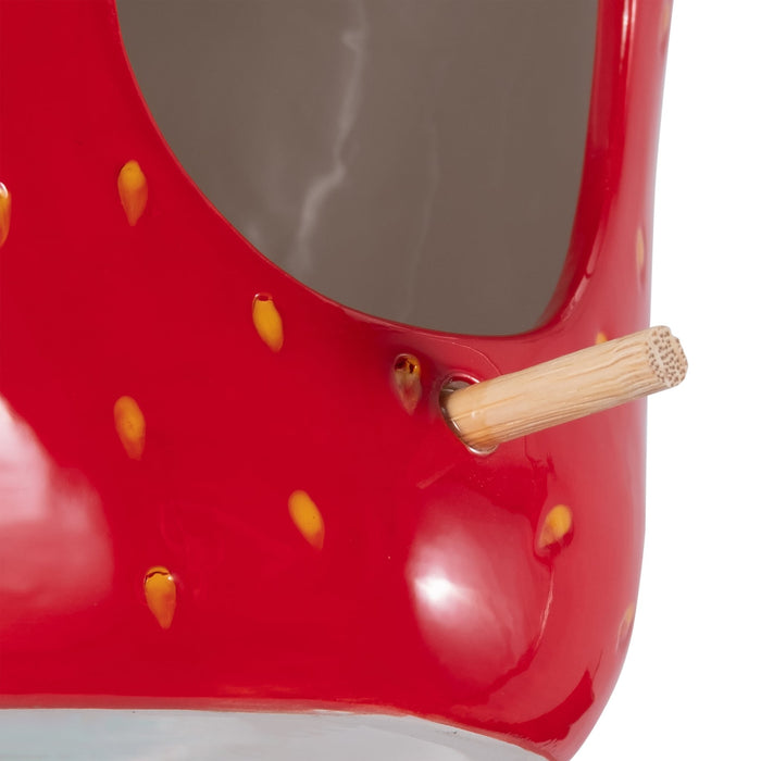 6-strawberry-bird-house-feeder-red-green-5