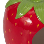6-strawberry-bird-house-feeder-red-green-6