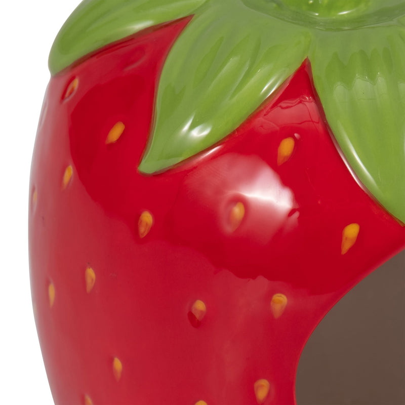6-strawberry-bird-house-feeder-red-green-6