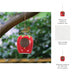 6-strawberry-bird-house-feeder-red-green-9
