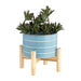 6-striped-planter-w-wood-stand-skyblue-4
