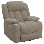 Houston Power Lift Recliner - Furniture City (CA)l