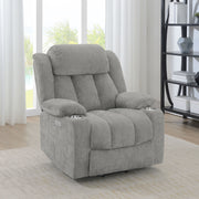 Houston Power Lift Recliner - Furniture City (CA)l