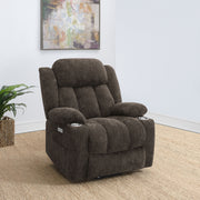 Houston Power Lift Recliner - Furniture City (CA)l