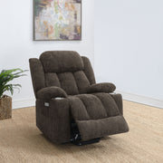 Houston Power Lift Recliner - Furniture City (CA)l