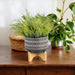 7-abstract-planter-on-stand-black-11
