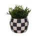 7-checkerboard-rounded-planter-black-white-2