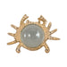 7-crab-magnifying-glass-gold-2