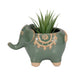 7-elephant-planter-green-2