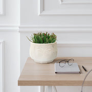 7-grandpa-planter-white-4