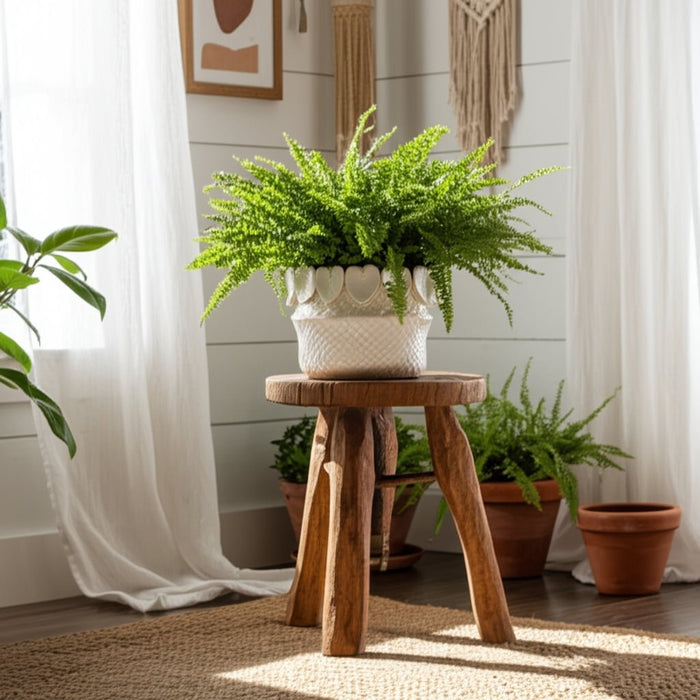 7-leaf-applique-woven-planter-cream-11