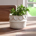 7-leaf-applique-woven-planter-cream-13