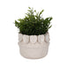 7-leaf-applique-woven-planter-cream-2