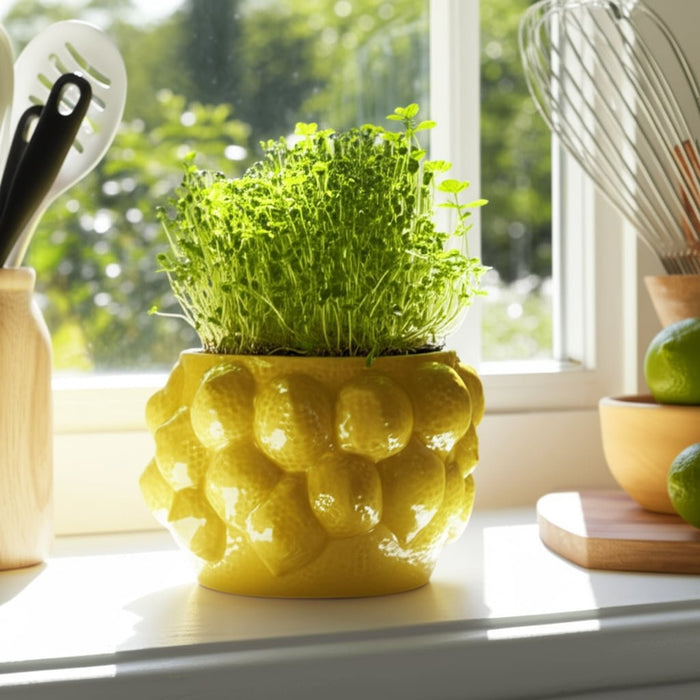 7-lemons-flower-pot-yellow-10