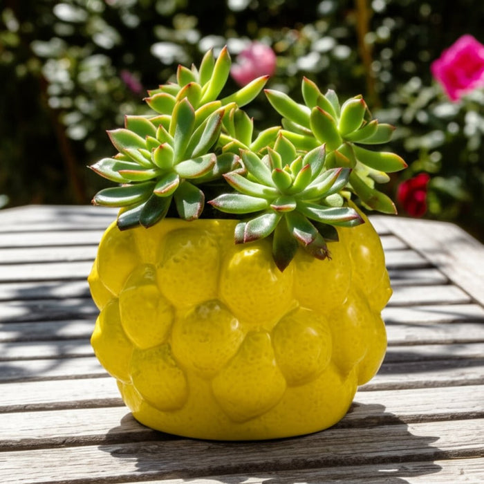 7-lemons-flower-pot-yellow-11