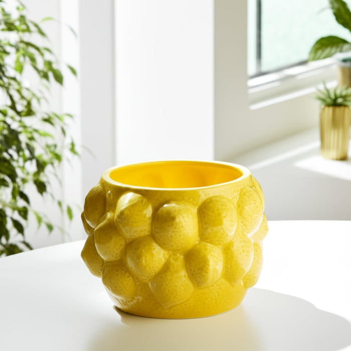 7-lemons-flower-pot-yellow-12