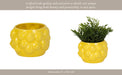 7-lemons-flower-pot-yellow-13