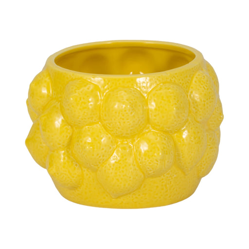 7-lemons-flower-pot-yellow-1