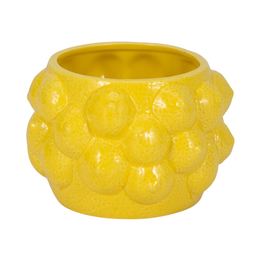 7-lemons-flower-pot-yellow-2