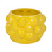 7-lemons-flower-pot-yellow-2