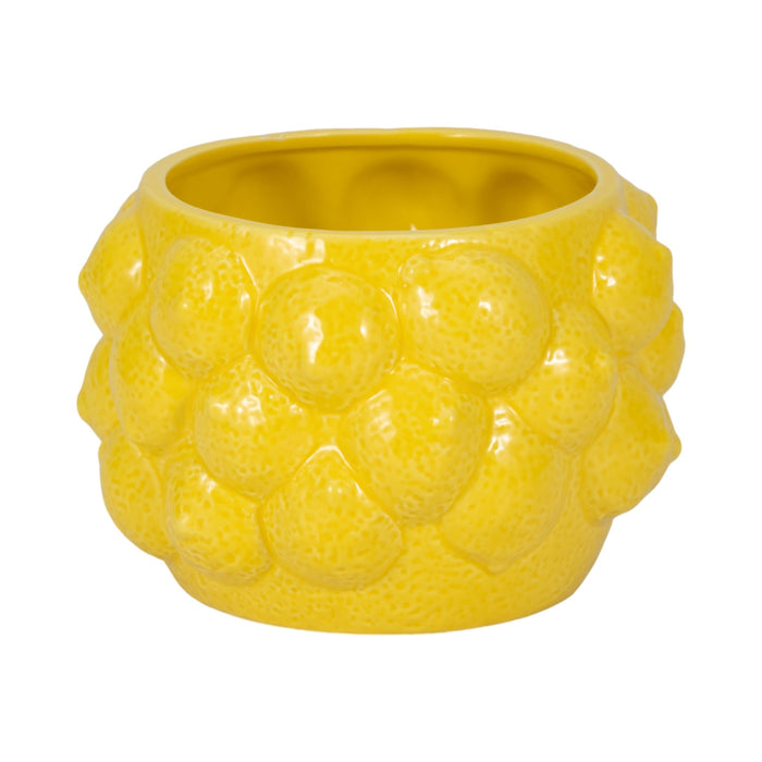 7-lemons-flower-pot-yellow-3
