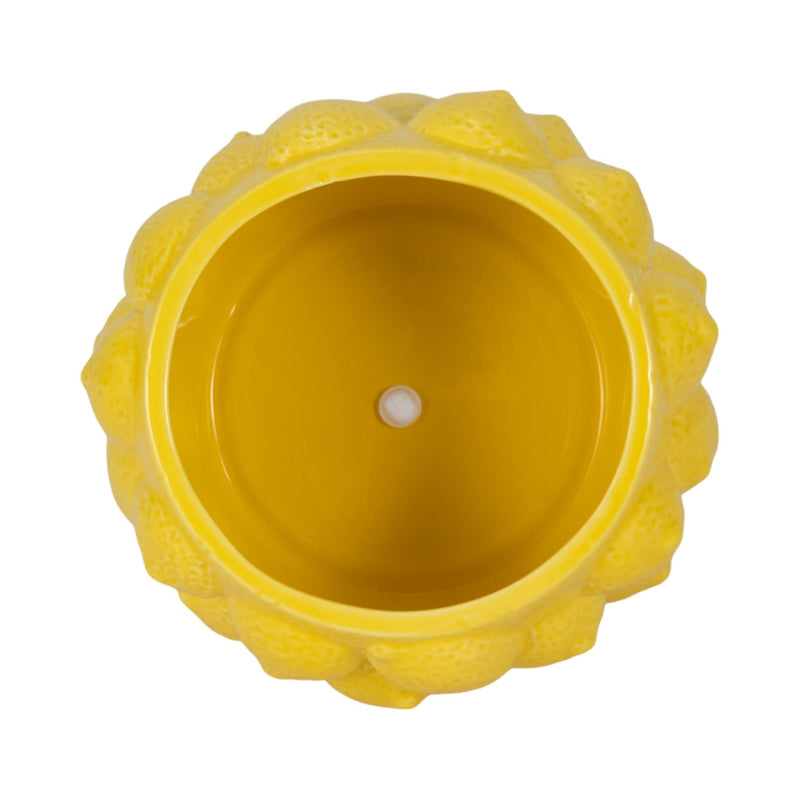 7-lemons-flower-pot-yellow-5