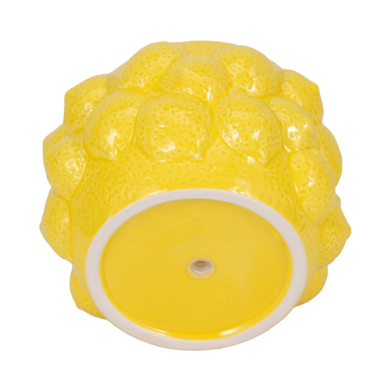 7-lemons-flower-pot-yellow-6