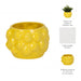 7-lemons-flower-pot-yellow-8