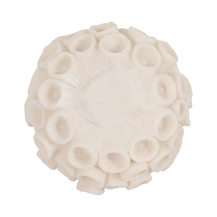 7-round-coral-orb-ivory-5