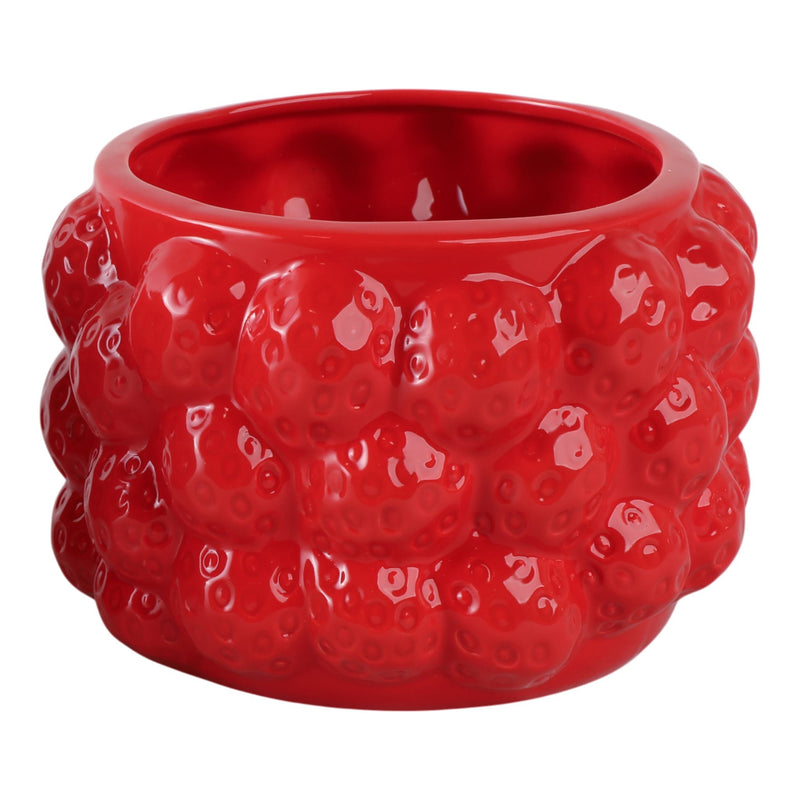 7-strawberries-flower-pot-red-1