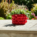 7-strawberries-flower-pot-red-10