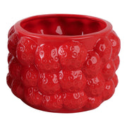 7-strawberries-flower-pot-red-2