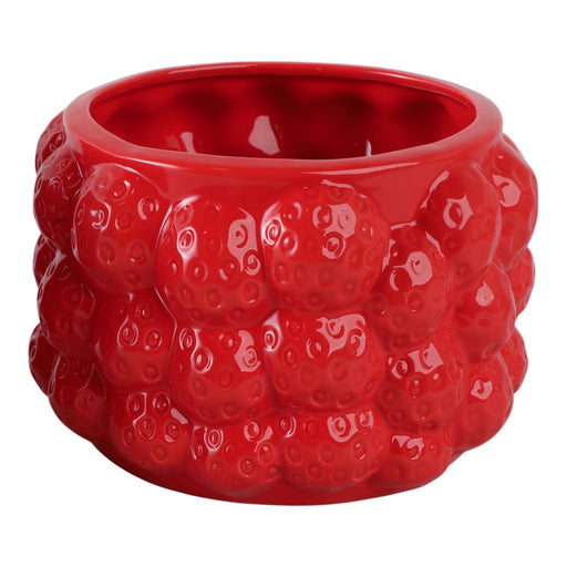 7-strawberries-flower-pot-red-2