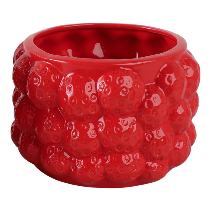 7-strawberries-flower-pot-red-2